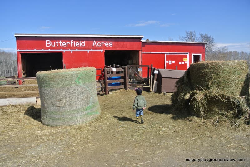 Butterfield Acres - Outdoor in Northwest Calgary