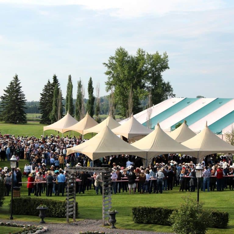 Gasoline Alley at Heritage Park - City-Run in Southwest Calgary