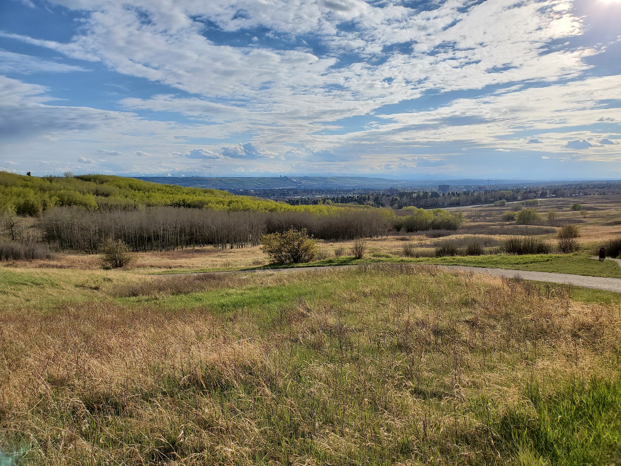 Nose Hill Park - Outdoor in Northwest Calgary